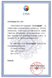 不是所有屏幕都是OLED LG电视获中国电子视像行业协会认证解析