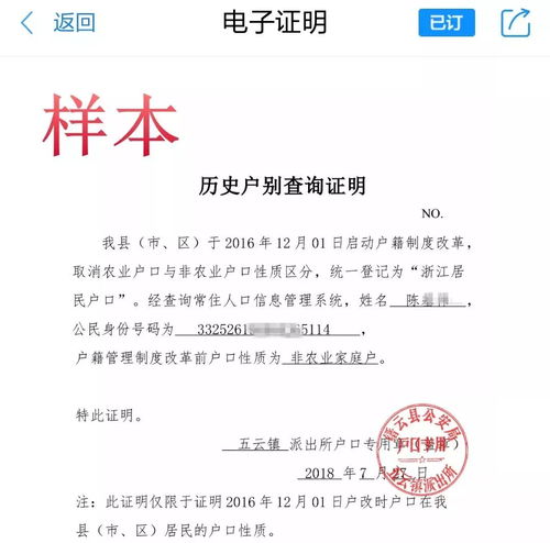 丽水公安电子证明服务系统上线 开启智慧便民新篇章